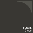 Fossil Gloss